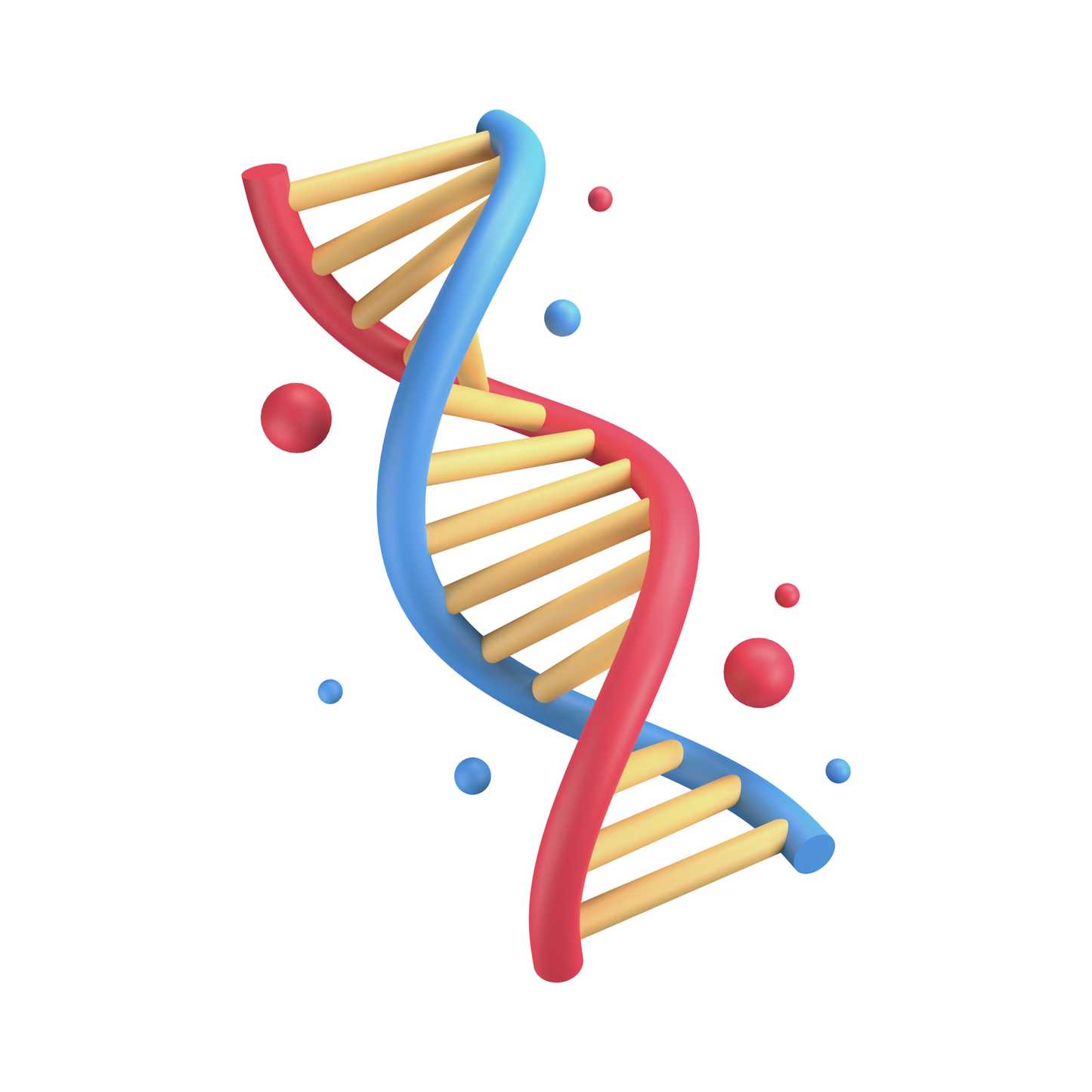 Rozmnožování a vývoj živočichů