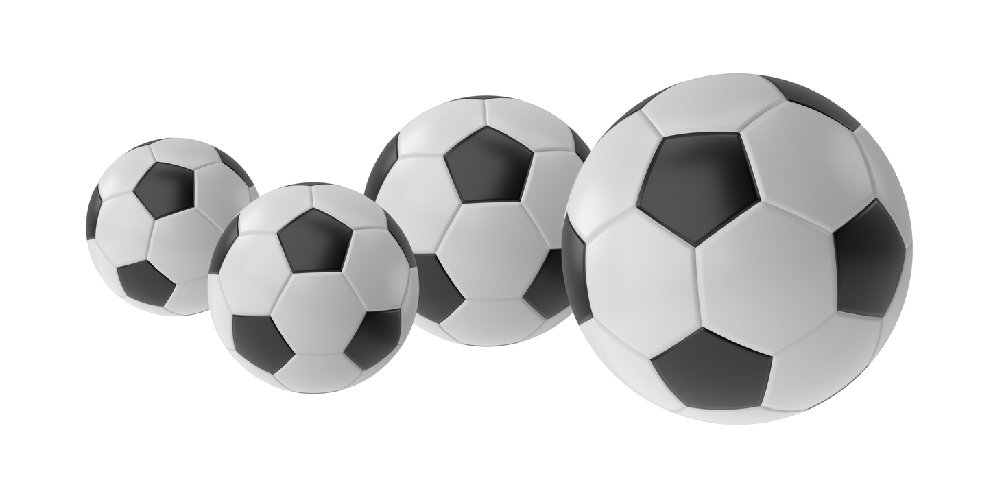 Tělesná výchova - všechny otázky